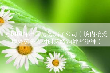 万国国际出国劳务骗子公司（境内接受境外劳务支付时应缴纳哪些税种）