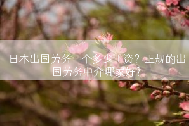 日本出国劳务一个多少工资？正规的出国劳务中介哪家好？