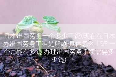 日本出国劳务一个多少工资(现在在日本办出国劳务工种是印刷 具体怎么上班 一个月能有多钱 办理出国劳务手续需要多少钱)