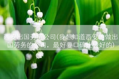 西安出国劳务公司(我想知道西安的做出国劳务的公司，最好要口碑比较好的)