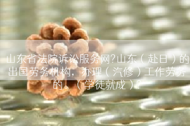 山东省法院诉讼服务网?山东（赴日）的出国劳务机构，办理（汽修）工作劳务的。（学徒就成）?