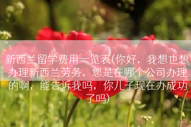 新西兰留学费用一览表(你好，我想也想办理新西兰劳务，您是在哪个公司办理的啊，能告诉我吗，你儿子现在办成功了吗)