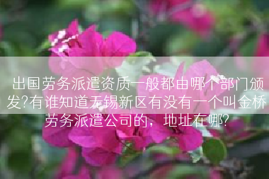 出国劳务派遣资质一般都由哪个部门颁发?有谁知道无锡新区有没有一个叫金桥劳务派遣公司的，地址在哪?