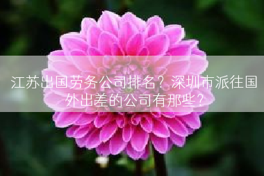 江苏出国劳务公司排名？深圳市派往国外出差的公司有那些？