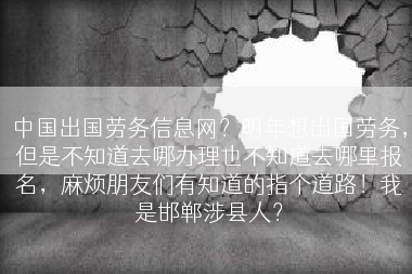 中国出国劳务信息网？明年想出国劳务，但是不知道去哪办理也不知道去哪里报名，麻烦朋友们有知道的指个道路！我是邯郸涉县人？