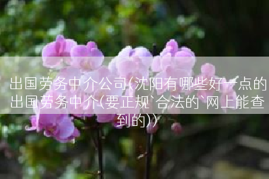 出国劳务中介公司(沈阳有哪些好一点的出国劳务中介(要正规`合法的`网上能查到的))