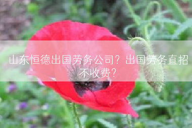 山东恒德出国劳务公司？出国劳务直招不收费？