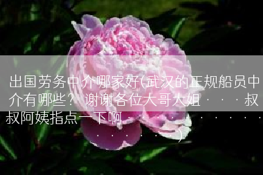 出国劳务中介哪家好(武汉的正规船员中介有哪些？ 谢谢各位大哥大姐···叔叔阿姨指点一下啊················)