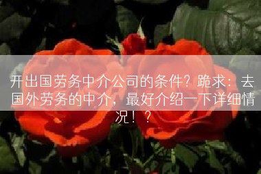 开出国劳务中介公司的条件？跪求：去国外劳务的中介，最好介绍一下详细情况！？
