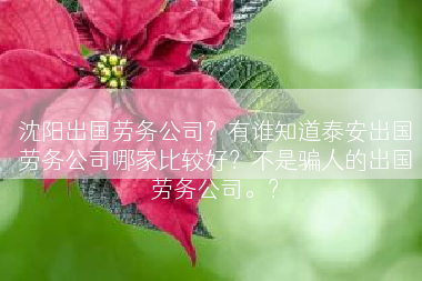 沈阳出国劳务公司？有谁知道泰安出国劳务公司哪家比较好？不是骗人的出国劳务公司。？
