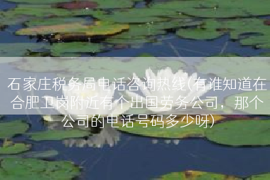石家庄税务局电话咨询热线(有谁知道在合肥卫岗附近有个出国劳务公司，那个公司的电话号码多少呀)