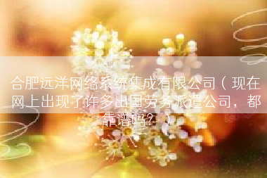 合肥远洋网络系统集成有限公司（现在网上出现了许多出国劳务派遣公司，都靠谱吗？）