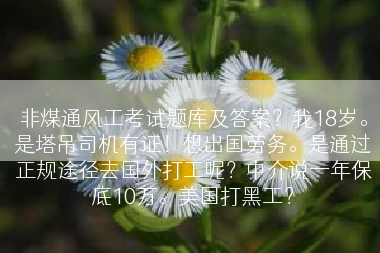 非煤通风工考试题库及答案？我18岁。是塔吊司机有证！想出国劳务。是通过正规途径去国外打工呢？中介说一年保底10万。美国打黑工？