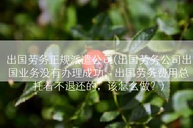 出国劳务正规派遣公司(出国劳务公司出国业务没有办理成功，出国劳务费用总托着不退还的，该怎么做？)