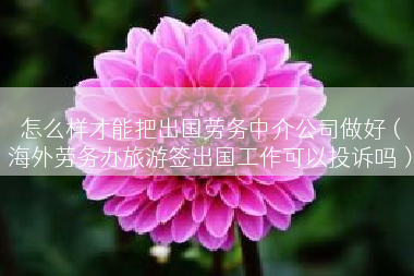 怎么样才能把出国劳务中介公司做好（海外劳务办旅游签出国工作可以投诉吗）