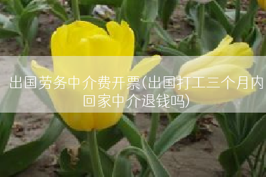 出国劳务中介费开票(出国打工三个月内回家中介退钱吗)