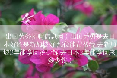 出国劳务招聘信息网（出国劳务是去日本好还是新加坡好 那位能帮帮我 去新加坡2年能拿回多少钱 去日本3年能拿回来多少钱）