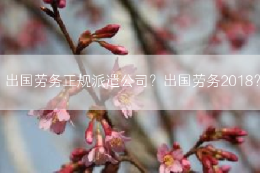 出国劳务正规派遣公司？出国劳务2018？