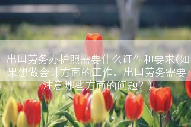 出国劳务办护照需要什么证件和要求(如果想做会计方面的工作，出国劳务需要注意哪些方面的问题？)