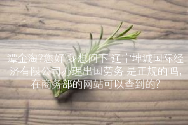 谭金淘?您好 我想问下 辽宁坤诚国际经济有限公司办理出国劳务 是正规的吗，在商务部的网站可以查到的?