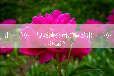 出国劳务正规派遣公司（常熟出国劳务哪家最好）