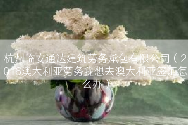 杭州临安通达建筑劳务承包有限公司（2016澳大利亚劳务我想去澳大利亚签证怎么办）