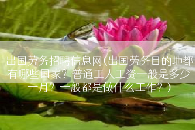 出国劳务招聘信息网(出国劳务目的地都有哪些国家？普通工人工资一般是多少一月？一般都是做什么工作？)