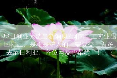 尼日利亚大选最新消息?河南中工实业出国打工，是不是骗人的，需要交一万多，去尼日利亚，各位网友帮帮我！！！?