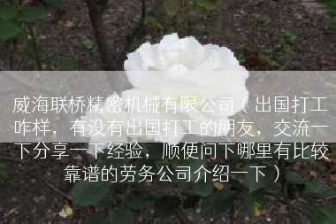 威海联桥精密机械有限公司（出国打工咋样，有没有出国打工的朋友，交流一下分享一下经验，顺便问下哪里有比较靠谱的劳务公司介绍一下）