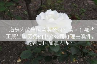 上海最大的出国劳务公司？请问有那些正规出国劳务的中介公司办理去澳洲，或者美国加拿大呢？