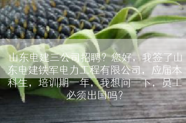 山东电建三公司招聘？您好，我签了山东电建铁军电力工程有限公司，应届本科生，培训期一年，我想问一下，员工必须出国吗？