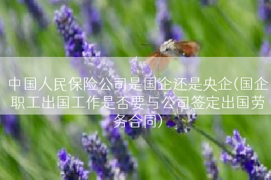 中国人民保险公司是国企还是央企(国企职工出国工作是否要与公司签定出国劳务合同)