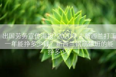 出国劳务宣传海报?2020年去新西兰打工一年能挣多少钱？新西兰钢筋带班的能挣多少?