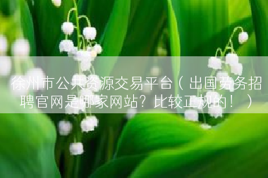 徐州市公共资源交易平台（出国劳务招聘官网是哪家网站？比较正规的！）