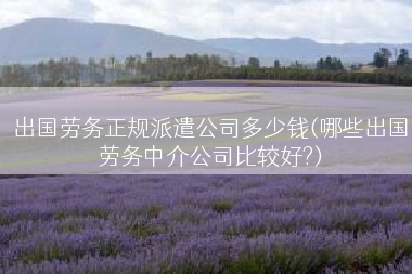 出国劳务正规派遣公司多少钱(哪些出国劳务中介公司比较好?)