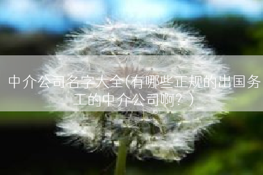 中介公司名字大全(有哪些正规的出国务工的中介公司啊？)