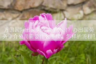 万国国际出国劳务骗子公司？办出国劳务中介公司需要什么手续，怎样的流程？