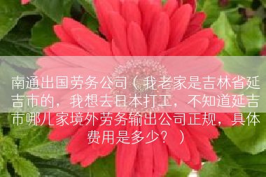 南通出国劳务公司（我老家是吉林省延吉市的，我想去日本打工，不知道延吉市哪儿家境外劳务输出公司正规，具体费用是多少？）