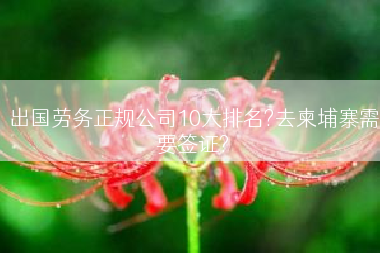 出国劳务正规公司10大排名?去柬埔寨需要签证?