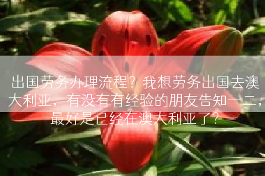 出国劳务办理流程？我想劳务出国去澳大利亚，有没有有经验的朋友告知一二，最好是已经在澳大利亚了？