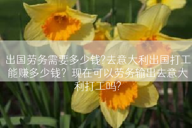 出国劳务需要多少钱?去意大利出国打工能赚多少钱？现在可以劳务输出去意大利打工吗?