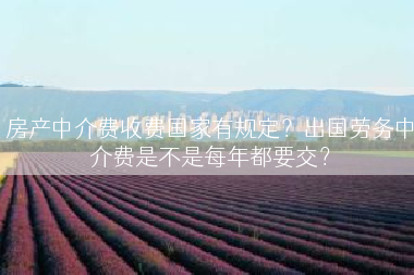 房产中介费收费国家有规定？出国劳务中介费是不是每年都要交？