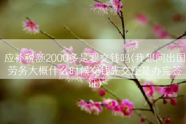应补税额2000多是要交钱吗(我想问出国劳务大概什么时候交钱先交还是办完签证)