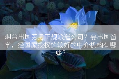 烟台出国劳务正规派遣公司？要出国留学，经国家授权的较好的中介机构有哪些？
