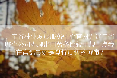 辽宁省林业发展服务中心官网？辽宁省哪个公司办理出国劳务比较正规一点我在盘锦最好是盘锦周边的城市？