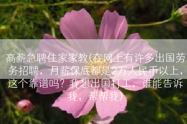 高薪急聘住家家教(在网上有许多出国劳务招聘，月薪保底都是2万人民币以上，这个靠谱吗？我想出国打工，谁能告诉我，帮帮我)