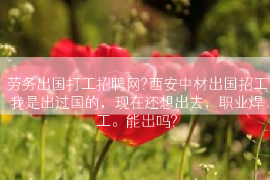 劳务出国打工招聘网?西安中材出国招工我是出过国的，现在还想出去，职业焊工。能出吗?