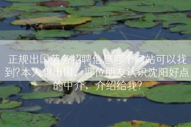 正规出国劳务招聘信息哪个网站可以找到?本人想出国，哪位朋友认识沈阳好点的中介，介绍给我?