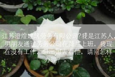 江苏澄煌建筑劳务有限公司?我是江苏人，男朋友通过劳务公司在荷兰上班，我现在没有工作，想出国去看他，请问怎样办理？。?