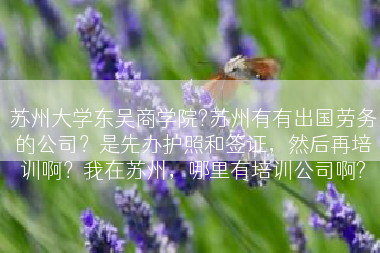 苏州大学东吴商学院?苏州有有出国劳务的公司？是先办护照和签证，然后再培训啊？我在苏州，哪里有培训公司啊?